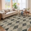 Easy Jute Rug 6x9 Checkered Rugs: Washable Woven Area Rug Non Slip Non Shedding Indoor Outdoor Carpet for Living Room Bedroom Dining Room Farmhouse Patio (6'x9' Black Diamond)